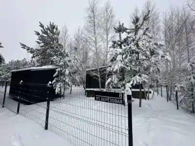 Betula - 21