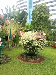 Patong Beach - 10