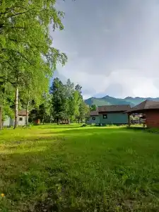 Кедровка - 9