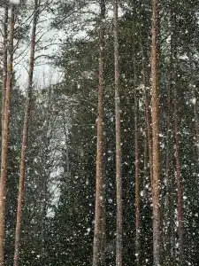 Онега Story - 35
