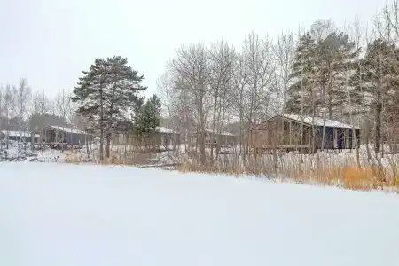 Wood Wood Wood - 69