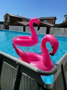 Азов Бриз - 31