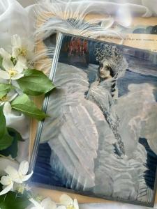 Сирин дом - 29