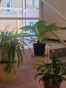 Единство - 13