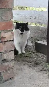 Гостевой дом на Балтийской косе - 29