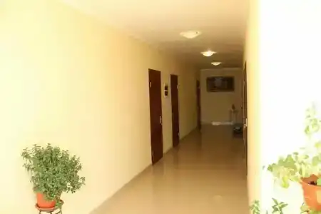 Райский уголок - 35