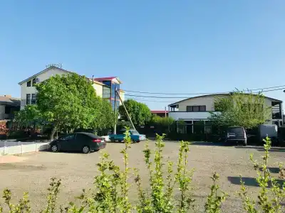 Фламинго - 69