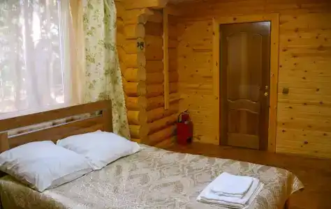 Шишкин лес - 14