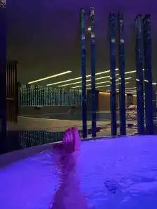 Sheraton Grand Tbilisi Metechi Palace - 14