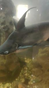 Арт-Сити - 46