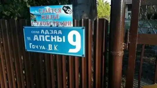Мимоза - 11