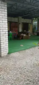 Светлана - 40