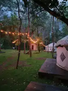 Юрта-парк на острове - 68