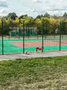 Фэмили Дача - 21