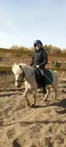 Кон Брио - 41