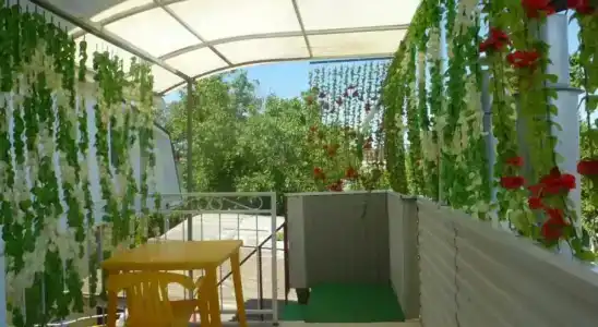 Маргарита - 18