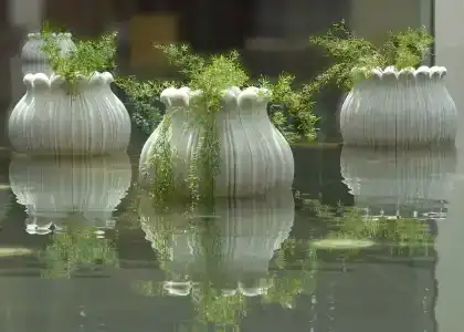 Jaipur Marriott - 18