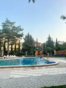 Морской Конёк - 14
