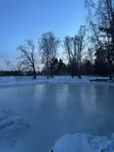 Обские просторы - 18