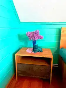 Витальница - 50