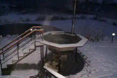 Подснежники - 13