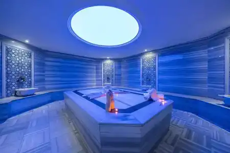 Clarion Istanbul Mahmutbey - 73