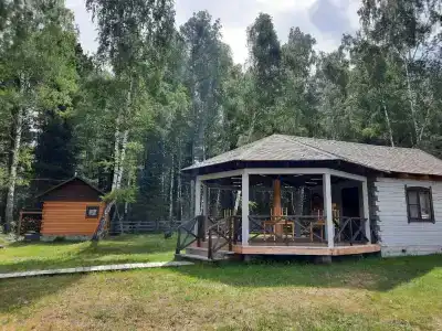 Кедровка - 33