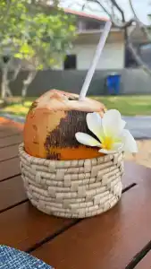 Cinnamon Bentota Beach - 16