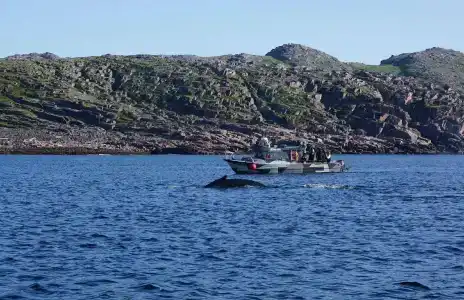 Олёнка лодж - 83