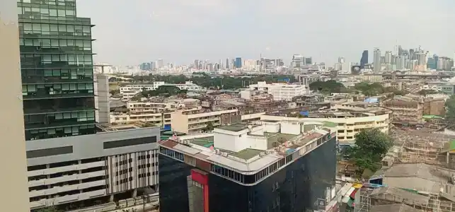 Prince Palace - Sha Extra Plus - 50