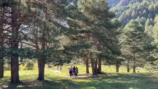 Флайчегем - 6