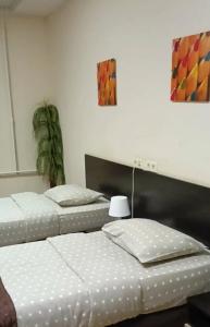 Типичный Питер - 49