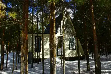 Пчелинцево - 51