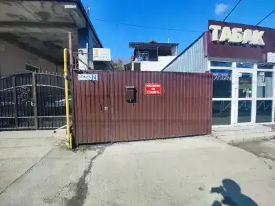Арабика - 6