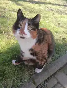 Скворечник - 23