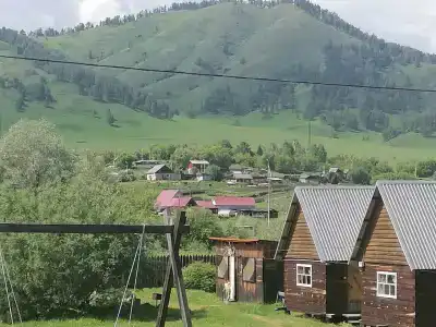 Золотая пчела - 27