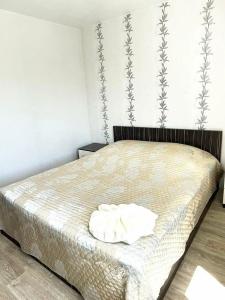 Вятские Зори - 24