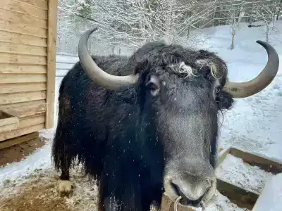 Огни Имандры - 51