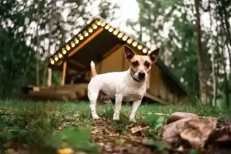 Удачное Кемп - 1