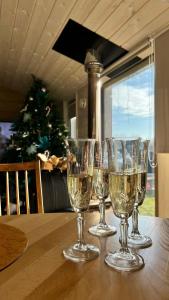 Дубль Дача - 15