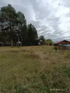 Шишкин лес - 12