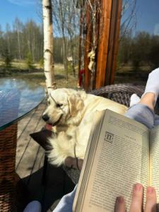 Парк Север - 37