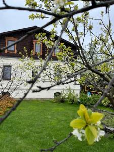 Усадьба на Спасской - 51