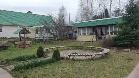 Живица - 47