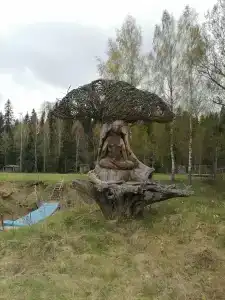 Парк Экспедиция - 25