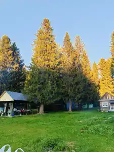 Байкузино - 22
