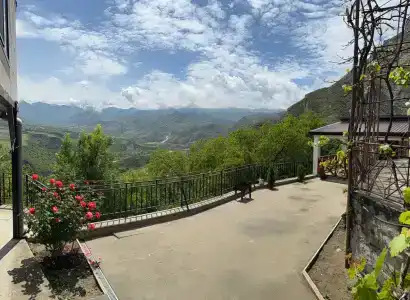 Пение птиц - 34