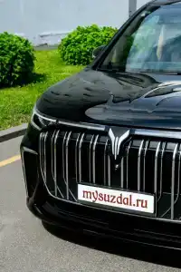 Сирин дом - 99