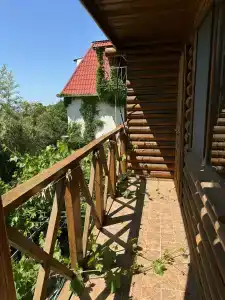 Теремок - 8