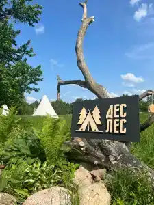Деслес - 2
